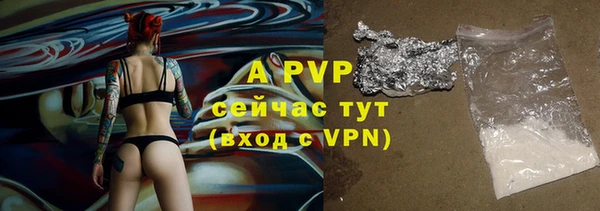 спайс Арсеньев