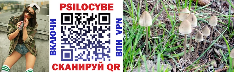 Псилоцибиновые грибы мухоморы  Александров 